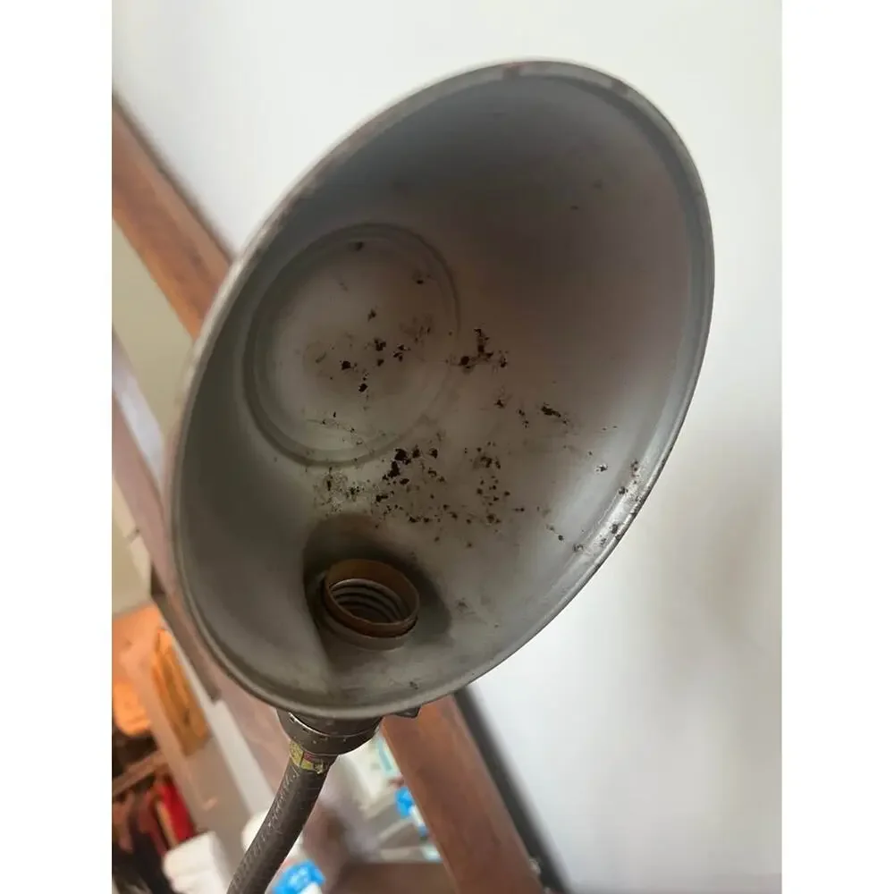 Vintage 1940s Art Deco Cast Goose Neck Lamp by Eagle